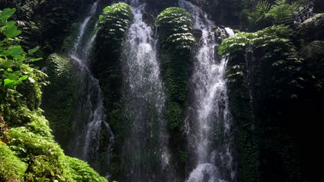 secluded forest with a view of banyu wana amertha waterfall in bali, indonesia