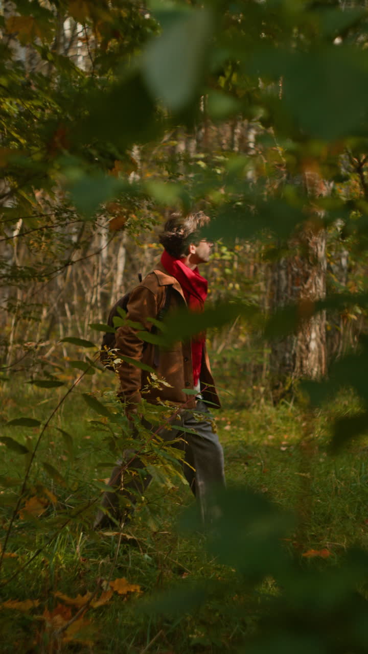 Man walking in the forest in autumn