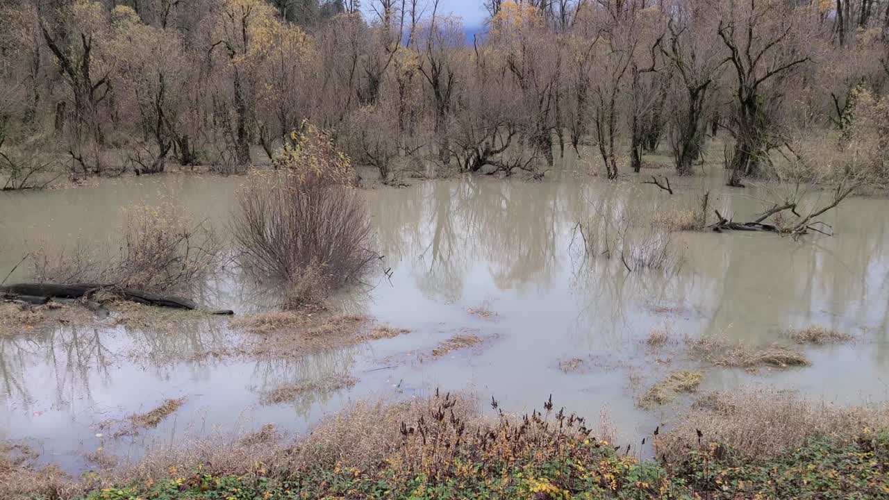 inundaciones en terreno fangoso durante el otoño en popkum village, bc, canadá