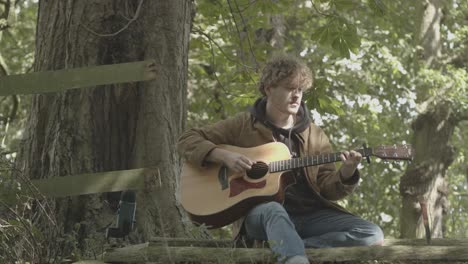 cantautor hombre cantando - tocando la guitarra en la escena de la naturaleza, estático