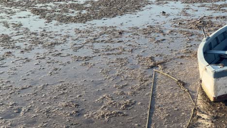 old fishing boat standing stranded on shore coastal mud