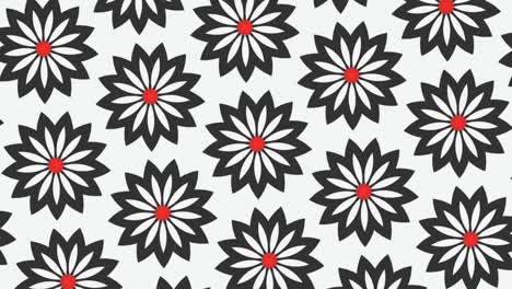 Drehbewegungsgrafik-Mit-Blumenartigen-Elementen-Auf-Weißem-Hintergrund