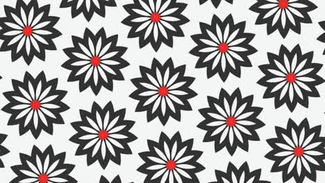 Rotating motion graphic with flowerlike elements in white background