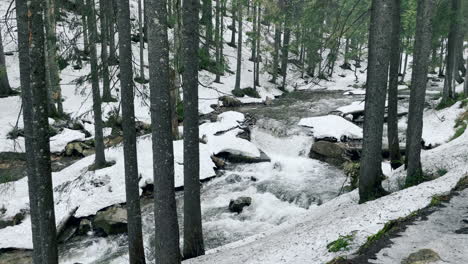 Schneller-Fluss-Im-Winterwald.-Blick-Auf-Den-Schnellen-Bach,-Der-Zwischen-Felsbrocken-Im-Wald-Fließt