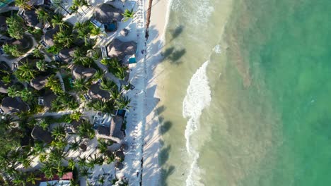 pristine-white-sand-tropical-beach-with-turquoise-water-and-sargassum-in-Playa-Del-Carmen-Mexico,-aerial