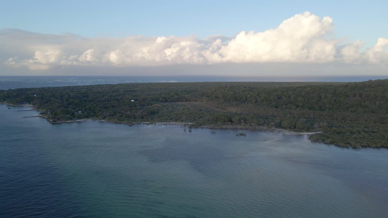 flujo distintivo de corteza de zorro volador y amplio bosque de punto de amistad en queensland, isla de stradbroke del norte, australia