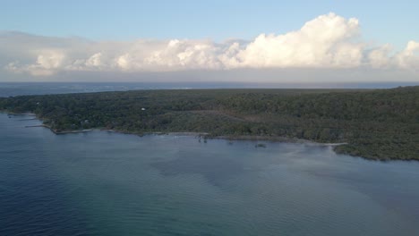 Flujo-Distintivo-De-Corteza-De-Zorro-Volador-Y-Amplio-Bosque-De-Punto-De-Amistad-En-Queensland,-Isla-De-Stradbroke-Del-Norte,-Australia