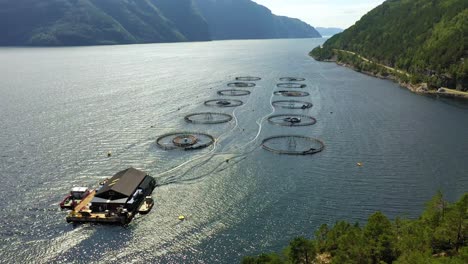 aerial footage farm salmon fishing in norway