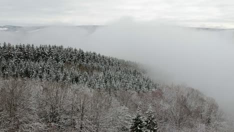 Lowering-tilt-up-aerial-pedestal-snowy-trees-forest-fill-foggy-landscape