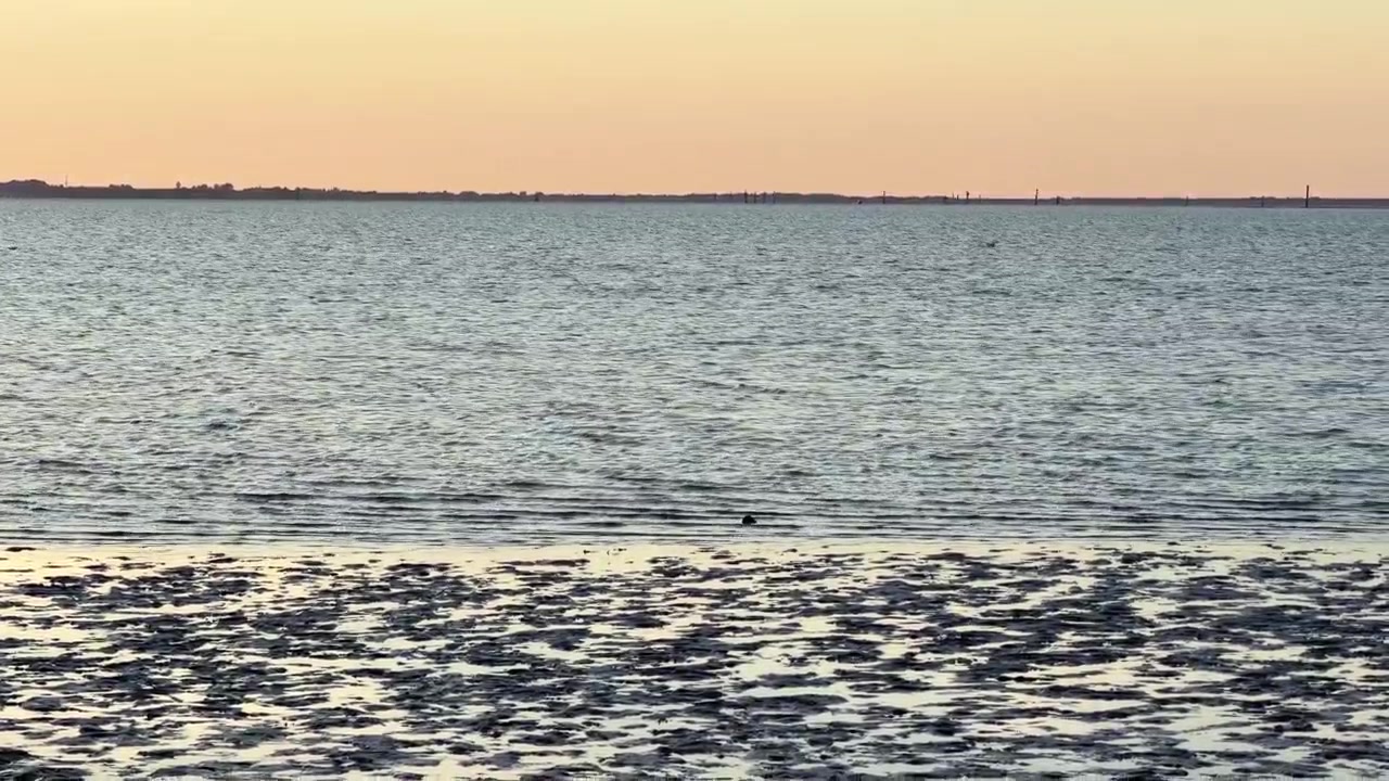 Bellissima bassa marea che rivela il fondale marino con un mare calmo durante un tramonto colorato e tranquillo.