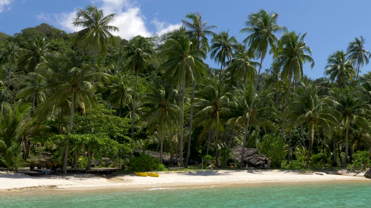 Playa de arena blanca con palmeras de coco