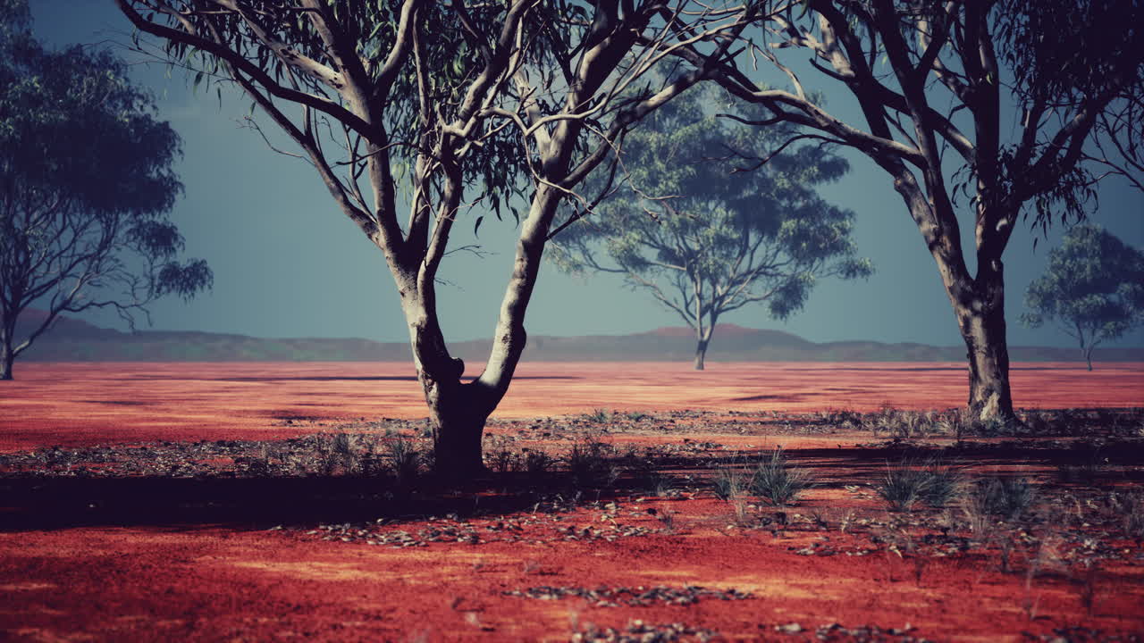 paisaje de sabana africana con árboles de acacia