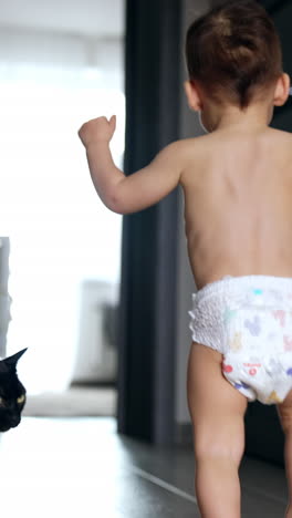 rear view of a toddler in diaper running by the house. black cat looks at camera and then follows a baby. vertical video
