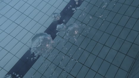 underwater shot of the bottom of a swimming pool and a young swimmer dives across the water