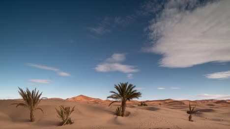 desierto de merzouga 02