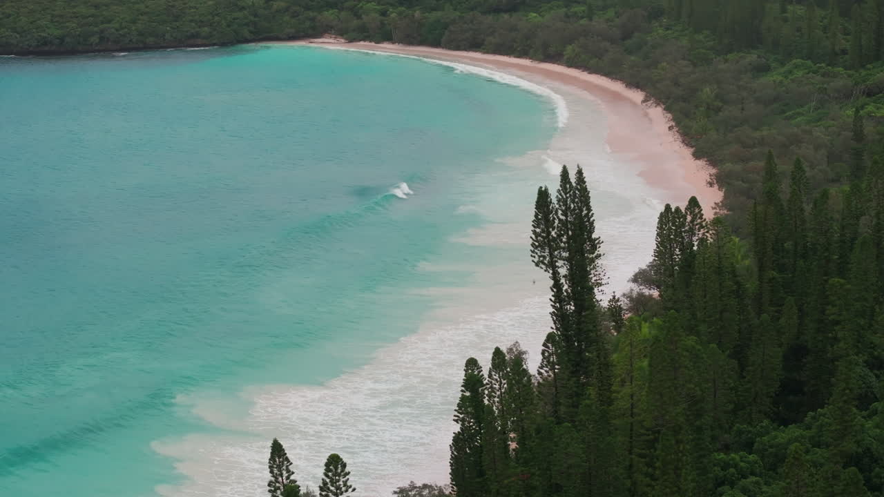 Drone view of turquoise lagoon and dense columnar pine forest stretching along the coastline of New Caledonia