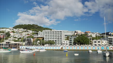 Wide-shot-of-boats-and-boat-sheds-by-the-marina-in-Wellington,-New-Zealand