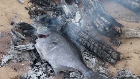 un barrido de pescado que se cocina de forma natural sobre brasas en una playa