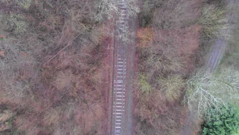 Regentropfen-Auf-Verlassenen-Bahngleisen,-Umgeben-Von-Laubbäumen