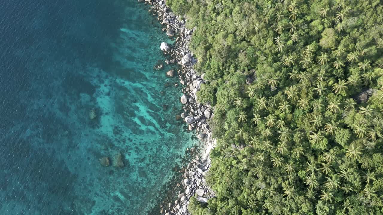 태국 코타오 (koh tao) 에 있는 망고 만 (mango bay) 의 공중 촬영. 크리스탈처럼 은 물, 활기찬 산호초, 그리고 울창한 열대 환경.