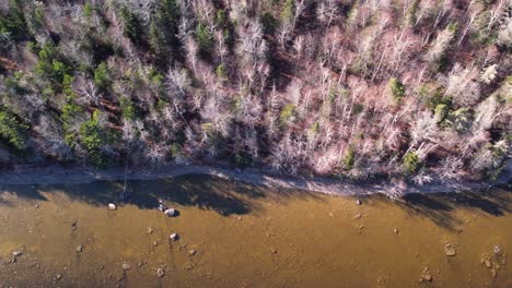 Aerial-footage-of-the-Moosehead-Lake-shore