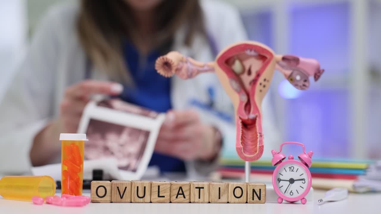 Word ovulation on cubes and alarm clock by uterus model and drug