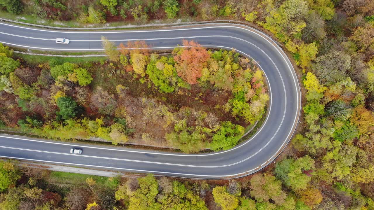 los automóviles giran bruscamente en la carretera de tránsito, vía en el bosque de otoño, vista aérea