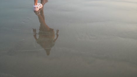 reflection of a young woman walking on the ocean shoreline, on a sandy beach, at dusk