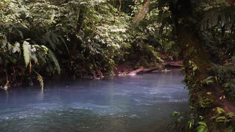 bright turquoise water flows through the celeste river in costa rica