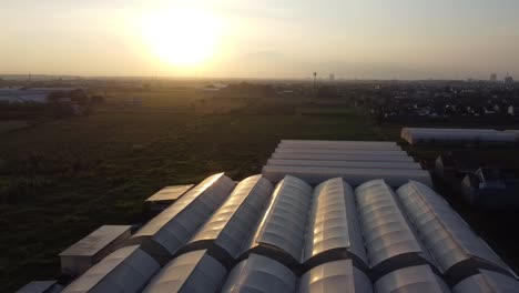 Drone-flying-above-greenhouse-organic-plantation-in-the