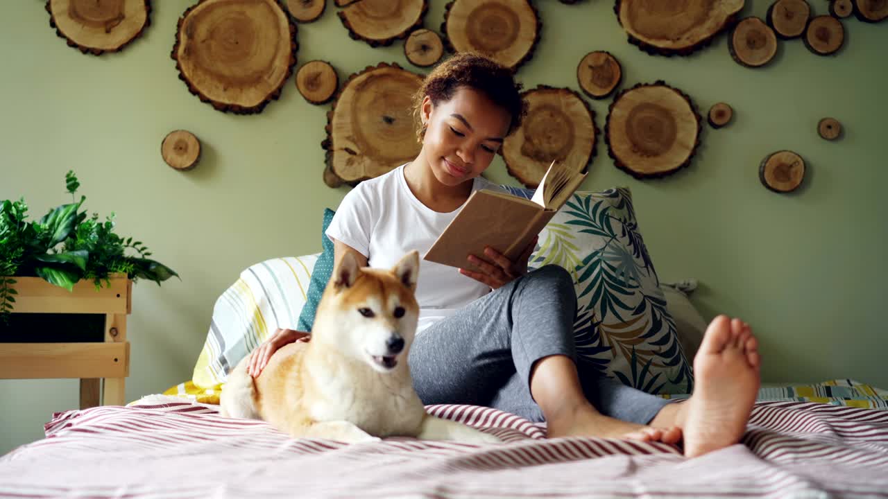 매력적인 혼혈 소녀는 책을 읽고 현대적인 아파트에서 침대에 맨발로 앉아있는 강아지를 만지고 있습니다. 동물을 사랑하고, 문학과 집 개념을 즐기고 있습니다.