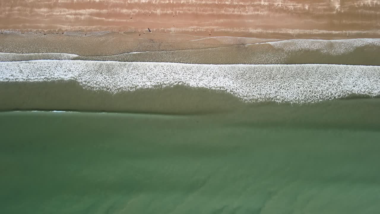 물속에 서퍼가 없는 뉴질랜드 동부 해안의 파도