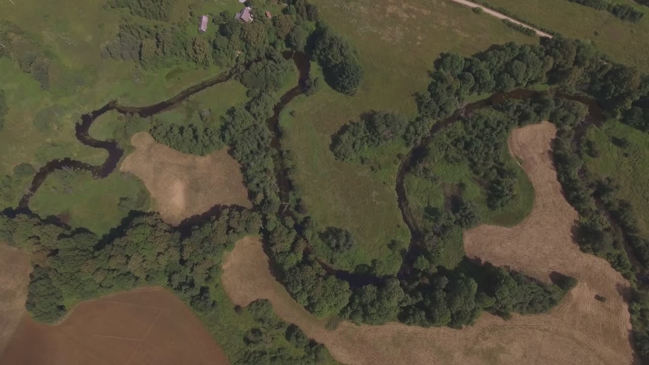 el río serpentea entre árboles y arbustos