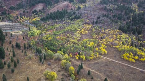 Hermoso-álamo-Dorado-Y-Bosque-Siempreverde-En-La-Cuenca-De-Nieve-Utah-4k---Inclinación-De-Retroceso-Aéreo