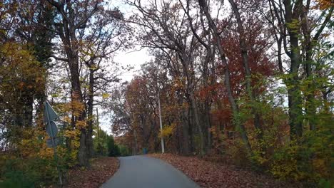 driving on the road through an autumn forest