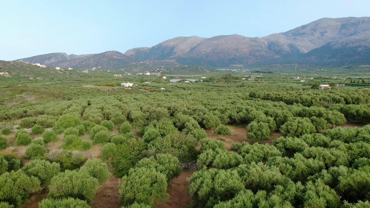 푸른 나무가 많은 농장에서 조감도