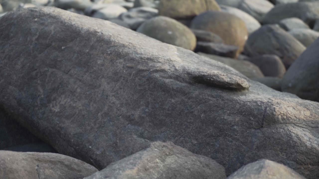 인도 고아의 팔로렘 해변에서 돌의 클로즈업 샷