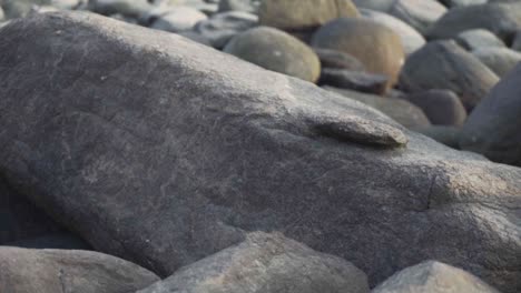 primer plano de la piedra en la playa de palolem en goa, india