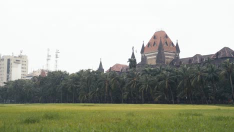 building of bombay high court beyond the palm trees at oval maidan on a rainy day in maharashtra, south mumbai, india