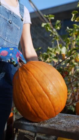 una mujer recogiendo una calabaza.