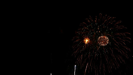 hermosa celebración abstracto colorido espectáculo de fuegos artificiales en el fondo de la noche