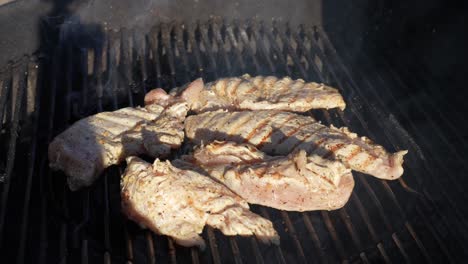 boneless chicken breast grilling on the backyard barbeque over hot coals - isolated close up in slow motion