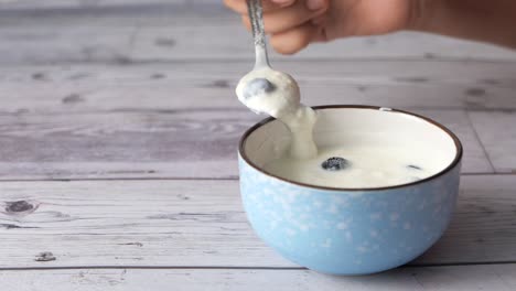 yogur con arándanos