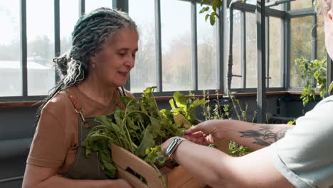 people in a greenhouse