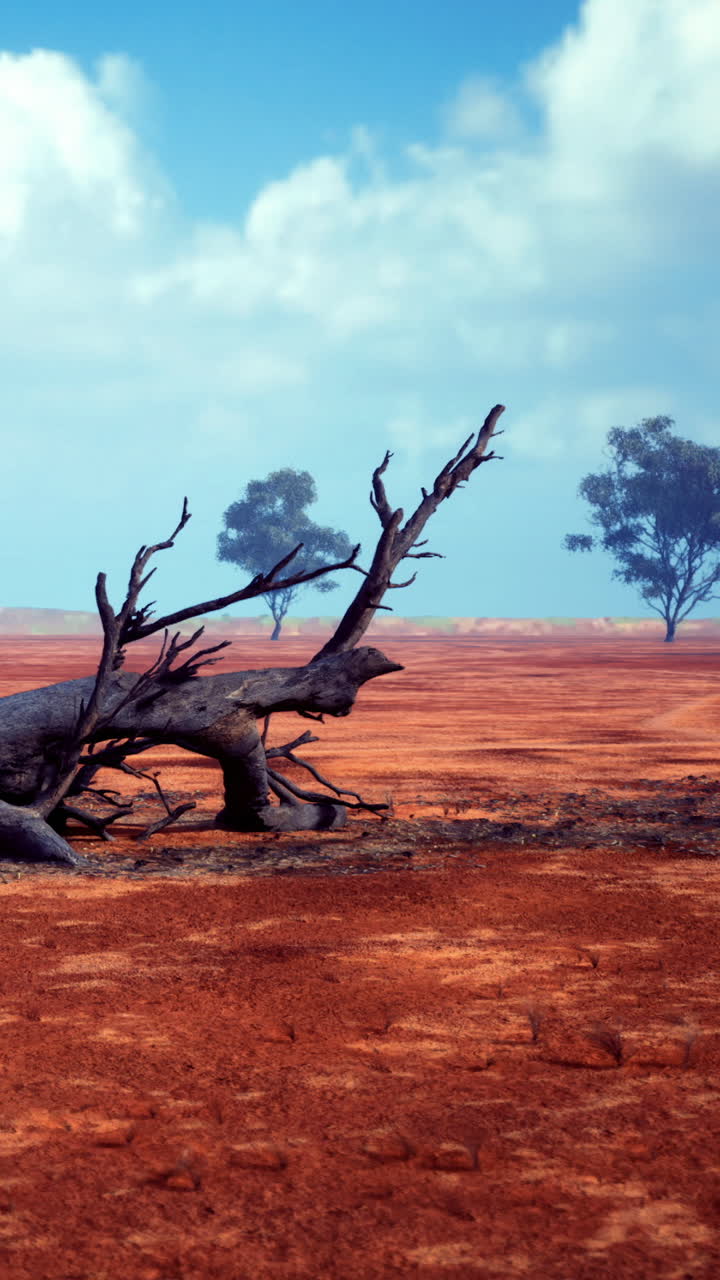 Trockene Landschaft mit kargem Boden und toten Baumzweigen unter blauem Himmel.