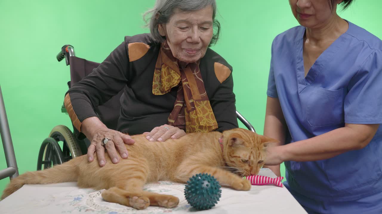 애완동물 치료는 chroma key 배경에서 치매 노인에게 도움이 됩니다.