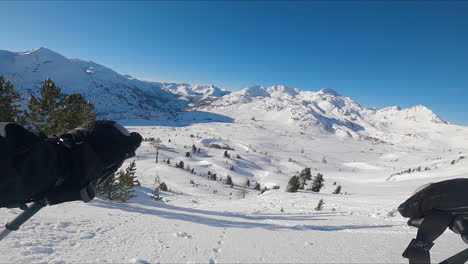 skiing in the alps