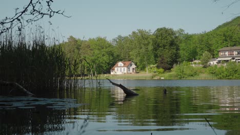 beautiful white cottage on the edge of a still calm lake in the springtime