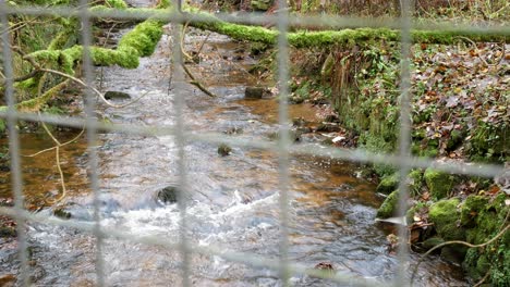 Clam-flowing-river-colourful-idyllic-Autumn-woodland-lush-foliage-seen-through-fence-squares-dolly-left