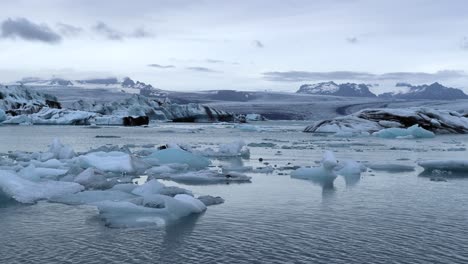 Seal-Swimming-in-Water-between-Ice-Rocks-of-Jökulsárlón-Glacier-in-Iceland,-4K